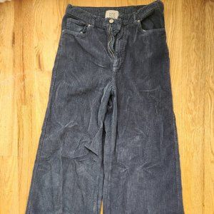 Blue Wide Leg Corduroy Pants From Urban Outfitters